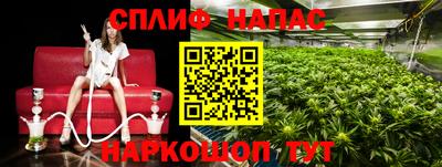 mdpv Ставрополь