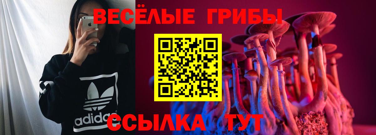 Галлюциногенные грибы MAGIC MUSHROOMS Отрадный